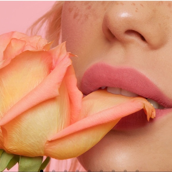 🌟HP🌟🌟ROSEBUD Lime Crime DISCONTINUED Plushies Soft Lipstick NWT - Picture 3 of 8